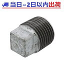 【CK金属】e白継手 20A (3/4B)プラグ P ねじ込み式 可鍛鋳鉄製管継手JIS B 2301適合 #ak
