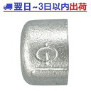 【リケン】白 キャップ CA ねじ込み可鍛鋳鉄管継手 RCFシロ #IG