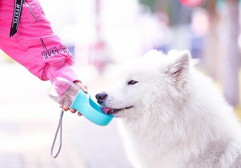 ペット飲水器、犬の散歩用水筒、持ち運びに便利、漏れ防止、シンクを持参することで、旅行やランニング、アウトドアで犬や猫などに水分補給ができます，食品グレードのプラスチック製 350ML 【漏れを防ぐ】ボトル内のシリコンシールとロックボタンは、ペットボトルが水漏れしないように設計されている。バッグを濡らさないから安心してください。 【水を無駄にしない】未使用の水は、ウォーターボタンを押すことで容器に簡単に戻すことができる。 【使いやすい】大きなボタンは片手で操作しやすい。ボタンを押して放水または水を戻し、ボタンを上に押して誤触漏水を防止します。 【携帯】どんな標準の自動車カップホルダーにも適しており、犬の水瓶ベルトは手首に固定したり、リュックサックに取り付けたりすることができ、持ち運びに便利である。 【フードレベル素材】上質で無毒な PC と PP 素材、フードレベルシリコンでできており、耐久性が高い。ペットフレンドの皆さんには、後顧の憂いなく、いつでも健康で新鮮な水を飲んでいただくことをお約束します。 生産地：中国 ご注意：ご利用のモニター環境により、色合いが異なって見える場合がございます。送料について、全国送料無料になります。ただし、北海道は800円、沖縄は1500円の追加をいただきますが、ご了承のうえご注文ください。ペット飲水器、犬の散歩用水筒、持ち運びに便利、漏れ防止、シンクを持参することで、旅行やランニング、アウトドアで犬や猫などに水分補給ができます，食品グレードのプラスチック製 350ML 【漏れを防ぐ】ボトル内のシリコンシールとロックボタンは、ペットボトルが水漏れしないように設計されている。バッグを濡らさないから安心してください。 【水を無駄にしない】未使用の水は、ウォーターボタンを押すことで容器に簡単に戻すことができる。 【使いやすい】大きなボタンは片手で操作しやすい。ボタンを押して放水または水を戻し、ボタンを上に押して誤触漏水を防止します。 【携帯】どんな標準の自動車カップホルダーにも適しており、犬の水瓶ベルトは手首に固定したり、リュックサックに取り付けたりすることができ、持ち運びに便利である。 【フードレベル素材】上質で無毒な PC と PP 素材、フードレベルシリコンでできており、耐久性が高い。ペットフレンドの皆さんには、後顧の憂いなく、いつでも健康で新鮮な水を飲んでいただくことをお約束します。 生産地：中国 ご注意：ご利用のモニター環境により、色合いが異なって見える場合がございます。送料について、全国送料無料になります。ただし、北海道は800円、沖縄は1500円の追加をいただきますが、ご了承のうえご注文ください。