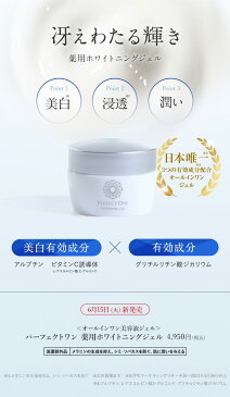 パーフェクトワン 薬用ホワイトニングジェル 75g【2個セット】/ 新日本製薬 公式通販 / オールインワンジェル 化粧水 乳液 クリーム 美容液 パック 化粧下地 / スキンケア 美白化粧水 美白美容液 オールインワンゲル シミ / 送料無料