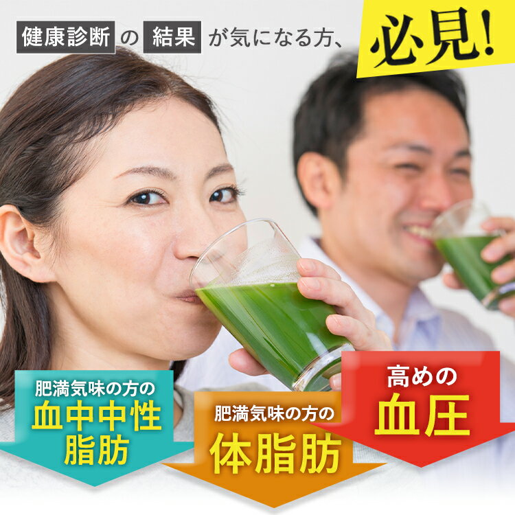 【公式】【3箱セット】青汁 乳酸菌 Wの健康青汁 / 新日本製薬 / 機能性表示食品 / 体重・ウエスト・高めのBMI値の改善 サポート / GABA エラグ酸 / 国産 粉末 / 1か月分 31包 / 抹茶風味 大麦若葉 ビフィズス菌 / 送料無料 セット割 _p20