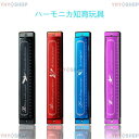 ハーモニカ C調 24穴 複音 ハーモニカ 初心者 楽器 おもちゃ 子供向け 入門 練習用 クリーニングクロス 収納ケース付き 樹脂ボディ 複音ハーモニカ プレ...