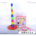 知育 玩具 輪投げ 子供 子ども 親子ゲーム 知育おもちゃ 4歳5歳6歳輪投げゲーム 色認知 運動 学習 おもちゃ 出産祝い 誕生日 クリスマス プレゼント ギ...