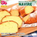 奈良　自然の里レストラン「NAVIRE」大きな焼きドーナツとアーモンドパウンドケーキ【送料無料（代引不可）】