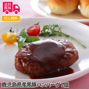 鹿児島県産黒豚ハンバーグ 7個【送料無料(代引不可)】