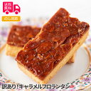 訳あり!キャラメルフロランタン【送料無料(代引不可)】