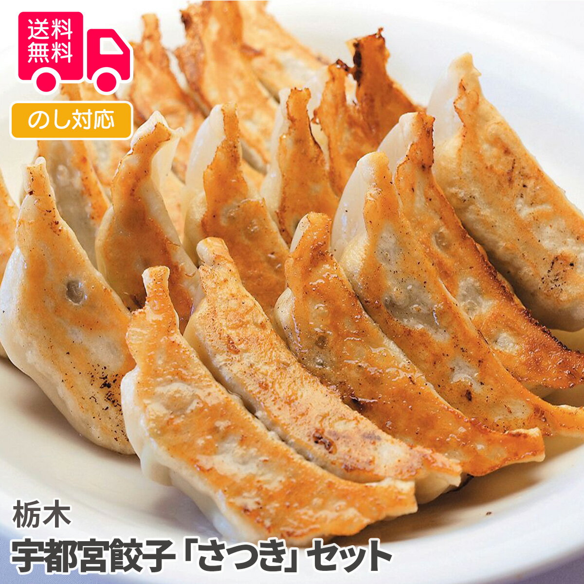 栃木 宇都宮餃子「さつき」セット【送料無料（代引不可）】