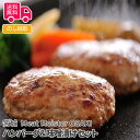 宮城　Meat Meister OSAKI　ハンバーグ＆味噌漬けセット【送料無料（代引不可）】