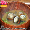 島根 宍道湖産大和しじみお味噌汁セット【送料無料(代引不可)】