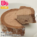 岐阜「新杵堂」 ショコラスイーツセット【送料無料(代引不可)】 ホワイトデー お返し ギフト おやつ お祝い