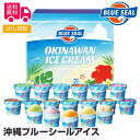 沖縄 ブルーシールアイス 18個セッ