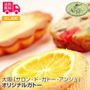 大阪「サロン・ド・ガトー・アンジュ」オリジナルガトー【送料無料(代引不可)】