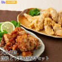 大分名物　豊後 とり天&唐揚げセット【送料無料（代引不可）】