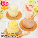 和歌山 「ふみこ農園」 凍らせて!ソルベ【送料無料(代引不可)】