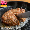 北海道産牛ハンバーグ(6個)【送料無料（代引不可）】