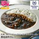 兵庫 「神戸ベイシェラトン ホテル＆タワーズ」黒毛和牛カレー