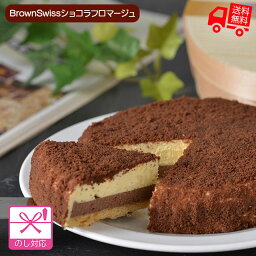 北海道　BrownSwissショコラフロマージュ【送料無料（代引不可）】[ チーズケーキ フロマージュ チョコ 二層 お取り寄せ お祝い お土産 プレゼント グルメ ギフト お歳暮 御歳暮 お中元 贈答 バレンタイン 本命 義理 ホワイトデー お返し ギフト ]