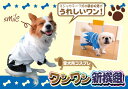 愛犬用コスプレ ワンワン新選組　◆ 新撰組グッズ 犬　服 新撰組 新選組 ◆