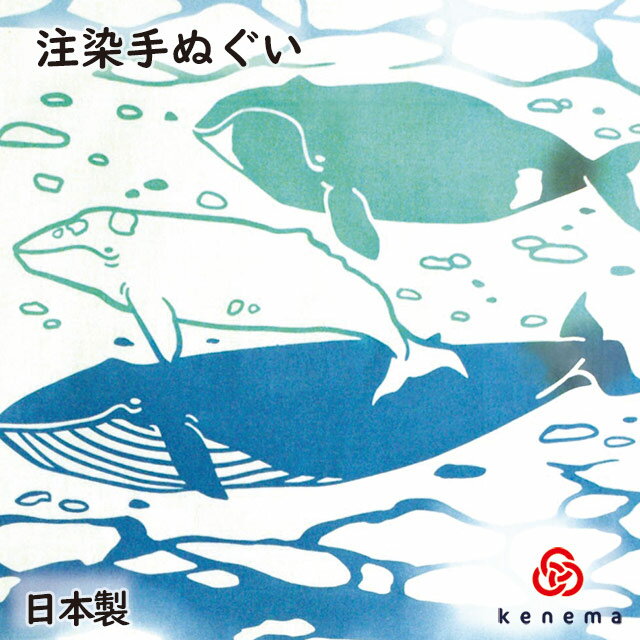 　 注染 chuusen　　注染とは、伝統的な型染めの一種で、糊付けし、重ね上げた生地の上から染料を裏と表の両面から注ぎ込んで模様部分を染め上げます。　裏表が無く染め上るのが特徴で、他の染色方法では味わう事の出来ない独特の風合い、絶妙なタッチや立体感を醸し出し、また重ねた生地への浸透率の違いや、染料のかける量によって一枚づつ風合いが異なります。　　●独特の風合い●　注染は手作業中心で、気温や湿度、一瞬のタイミングに仕上がりが左右されやすく、にじみやムラ等が出やすい技法です。　注染独特の味わいとしてお楽しみ下さい。 商品詳細 -Spec-&nbsp; &nbsp;■ 商品名 　　kenema-注染手拭い 『クジラ』 &nbsp;■ 仕　 様 　&nbsp;注染手拭い・綿100％ &nbsp;■ サイズ 　　約35×90cm 　　　　　生地に無蛍光晒し特岡を使用。　　　　　海で暮らすたくさんのクジラ。　　　　　青く広い海原を、ゆうゆうと泳ぐその姿に心が癒されます。　　　　　 　　ご注意！ こちらの商品は店舗の在庫のため、発送に7営業日程度掛かる場合もございますので、ご了承下さいませ。※予告なく廃番になる可能性がございます。ご了承ください。 　　お手入れについて　　　　 　◎手拭い編 　　◎注染手拭いは成長するもの。　注染本染めの手拭いは、洋服に例えるならビンテージジーンズ。使い込む程の色落ちと風合い、馴染む柔らかさが特徴です。大切に愛でてあげましょう。 　　◎注染手拭いは色落ちするものです。 　つかいはじめて2〜3回は他の洗濯物と分け、ぬるま湯でジャブジャブと手洗いしましょう。かるく絞ってシワを伸ばしながら陰干ししましょう。　　◎けねまの手拭いの端は切りっぱなし。 　雑菌がたまり難く、乾きやすいという利点があります。使う度に徐々にほつれてきますので余分な糸をカットしましょう。フリンジ状になり止まります。 　　　　　　　　　　　　　　　　　　　　　　　　　　　　　　　　　　　　てぬぐい　クジラkenemaブランド◇生き物◇生地に無蛍光晒し特岡を使用！