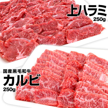 バーベキュー 欲張り焼肉セット！A4〜A5の国産和牛カルビ入り！国産黒毛和牛 国産和牛 ハラミ 鶏もも 豚トロ ウィンナー 1kg