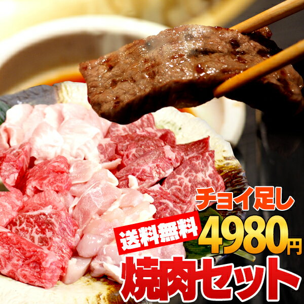 送料無料 国産 黒毛和牛 4種盛り ハラミ カルビ 焼肉 バーベキュー 肉 BBQ セット 焼き肉セット 焼き肉 焼肉 送料無料 バーベキュー焼肉セット500g