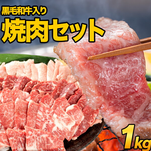 バーベキュー 欲張り焼肉セット 1kg！あす楽 お中元 内祝い 焼肉　食べ比べ黒毛和牛　バーベキュー　BBQ　焼肉 セット　国産黒毛和牛 国産和牛　カルビ　ハラミ　鶏もも　豚トロ ウィンナー　アウトドア　お取り寄せ　詰め合わせ