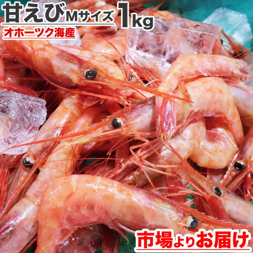 【 送料無料 】甘エビ 1kg Mサイズ | 甘海老 甘えび 海老 エビ えび オホーツク海 北海道 海鮮 水産 グルメ 贈答品 贈答 船上冷凍 お取り寄せ 取り寄せ 仕入れ 卸 お取り寄せ食品 お取り寄せグルメ お取り寄せギフト 詰め合わせ 旨い物 旨い ギフト 自炊 お中元 中元 お彼岸