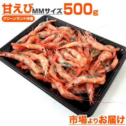 【 送料無料 】南蛮エビ 500g Mサイズ | なんばんえび 甘エビ 甘えび 海老 エビ えび 北海道 海鮮 水産 グルメ 贈答品 贈答 船上冷凍 お取り寄せ 取り寄せ お取り寄せ食品 お取り寄せグルメ お取り寄せギフト ギフト キャンプ グルメ 中元 お中元 御中元 父の日 父の日ギフト