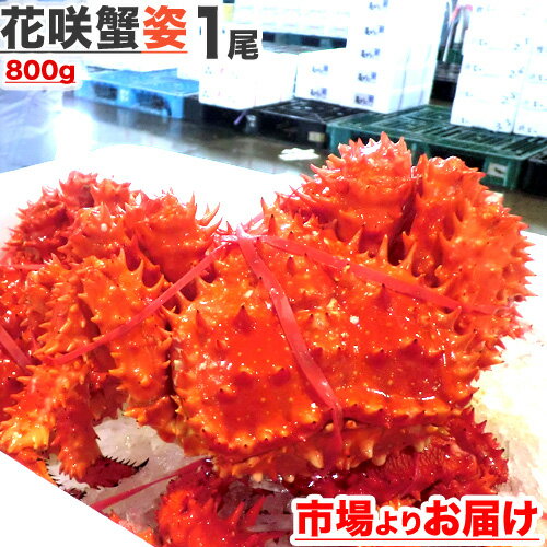 送料無料 北海道 花咲蟹 800g 1尾 | 花咲ガニ ハナサキガニ 花咲蟹 花咲がに 幻のカニ 幻の蟹 幻のかに カニ かに 蟹 北海道 姿 濃厚 ボイル 祝い 特大 お取り寄せ 産地直送 プレゼント ギフト プレゼント用 ギフト用 贈答品 特別価格 母の日 父の日 ギフト プレゼント