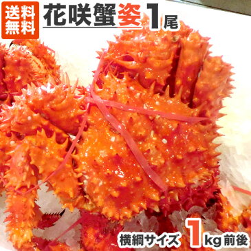 送料無料 花咲ガニ 1kg 1尾 | 花咲蟹 ハナサキガニ 花咲蟹 花咲がに 幻の蟹 幻のカニ 幻のかに カニ かに 蟹 北海道 姿 濃厚 ボイル 祝い 特大 お取り寄せ 新鮮 産地直送 プレゼント ギフト プレゼント用 ギフト用 贈答品 特産品 旨い物 ギフト 祝い お祝い 敬老 敬老の日