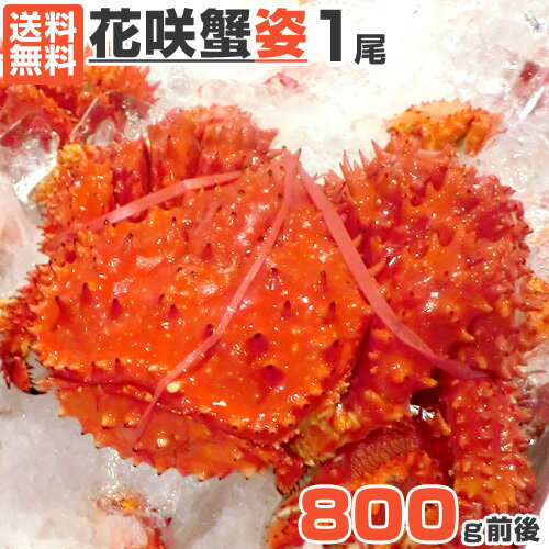 北海道産 花咲ガニ 800g 1尾 | 数量限定 花咲蟹 ハナサキガニ 花咲がに 幻の蟹 幻のカニ カニ かに 蟹 北海道 姿 ボイル 祝い 特大 お取り寄せ 新鮮 産地直送 プレゼント用 ギフト用 贈答品 旨い物 ギフト 祝い お祝い 贈り物 人気蟹 中元 お中元 御中元 父の日 父の日ギフト