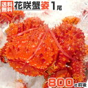 北海道産 花咲ガニ 800g 1尾 | 数量限定 花咲蟹 ハナサ...