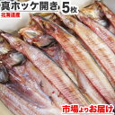 【 送料無料 】真ホッケ開き 一夜干し 5枚 | 知床羅臼産 北海道産 真ホッケ ホッケ開き ほっけ開き ホッケ ほっけ 開き 一夜干し いちやぼし 魚 肴 干物 ホッケ一夜干し ホッケの一夜干し お取り寄せ 取り寄せ 仕入れ 仕入れ値 詰め合わせ 開き詰め合わせ