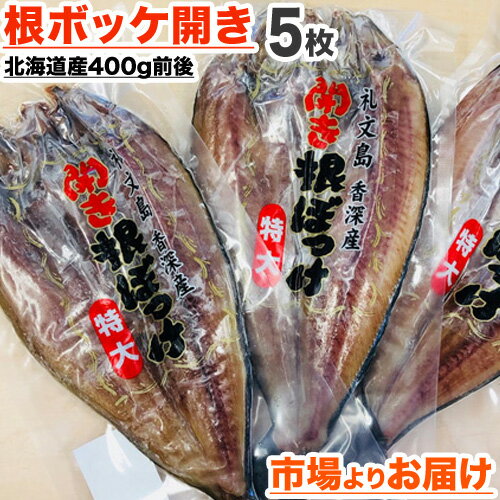 【 送料無料 】特大 根ホッケ開き 一夜干し 5枚 | 1枚あたり 400g 前後 知床礼文産 北海道産 ホッケ干物 根ボッケ ほっけ開き ホッケ ほっけ 開き 一夜干し 干物 北海道 ホッケ一夜干し お取り寄せ ホッケ仕入れ 大きいホッケ 中元 お中元 御中元 父の日 父の日ギフト