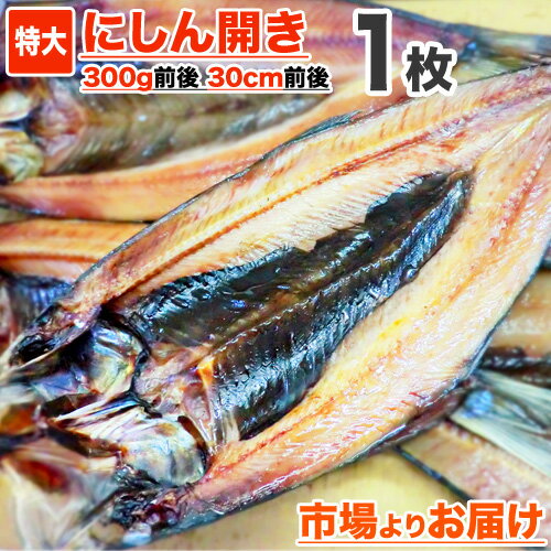 [ 送料込 ] 鰊開き 一夜干し 1枚 | 300g前後 ニシン開き にしん開き ニシン干物 にしん ニシン 鰊 冷凍 一夜干し 魚 干物 ロシア産 オホーツク海域 お取り寄せ 取り寄せ 水産仕入れ おすすめ 特大干物 旨いもの お取り寄せグルメ バーベキュー BBQ 中元 お中元 御中元 父の日