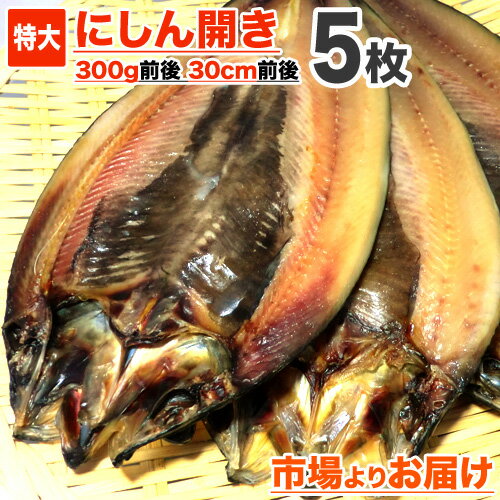 [ 送料込 ] 鰊開き 一夜干し 5枚 | 1枚 30cm300g前後 ニシン開き にしん開き ニシン干物 にしん ニシン 鰊 冷凍 一夜干し 魚 干物 ロシア産 オホーツク海域 お取り寄せ 取り寄せ 水産仕入れ おすすめ 特大干物 お取り寄せグルメ 中元 お中元 御中元 父の日 父の日ギフト