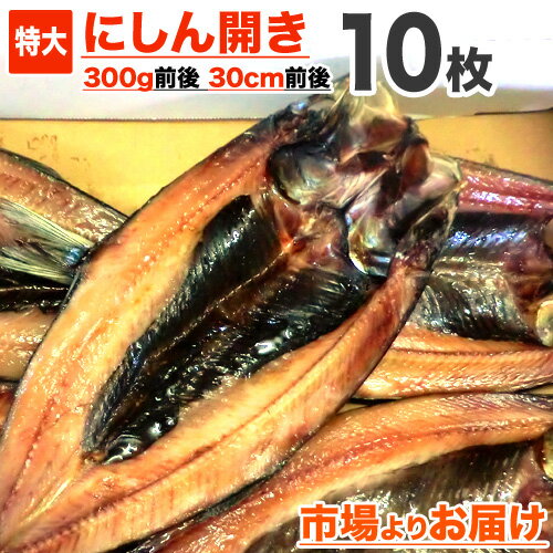 [ 送料込 ] 鰊開き 一夜干し 10枚 | 1枚 30cm300g前後 ニシン開き にしん開き ニシン干物 にしん ニシン 鰊 冷凍 一夜干し 魚 干物 ロシア産 オホーツク海域 お取り寄せ 仕入れ 卸 水産仕入れ 特大干物 旨 旨い物 お取り寄せグルメ 中元 お中元 御中元 父の日 父の日ギフト