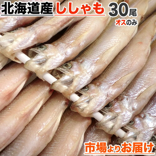 【 送料無料 】道産シシャモ オス 30尾入り | シシャモ 柳葉魚 道産ししゃも 北海道産ししゃも 北海道産シシャモ 北海道 干物 お土産 お取り寄せ 取り寄せ 一品 グルメ 食品 お取り寄せグルメ お取り寄せギフト おとりよせグルメ 中元 お中元 御中元 父の日 父の日ギフト