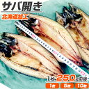 サバ 干物 開き 1枚から28枚 ｜ 北海道産 鯖 さば サバ開き 鯖開き 鯖の開き 一夜干し 北海道 魚 乾物 開き 開き魚 お土産 土産 お取り寄せ 取り寄せ 仕入れ 卸 水産仕入れ おすすめ お取り寄せ食品 お取り寄せグルメ 食品 北海道グルメ 花見 お花見 弁当 春