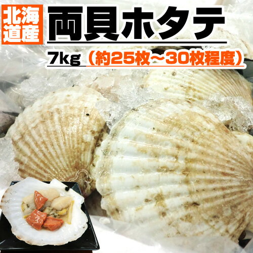 【 活貝 】北海道産 活ホタテ 7kg 30枚前後 | 北海道 道産 ホタテ 帆立 ほたて 貝付きホタテ 殻付きホタテ 貝付 殻付 活帆立 北海道ホタテ 北海道産ホタテ 海鮮 水産 物産 グルメ お取り寄せ 取り寄せ仕入れ 卸 仕入れ値 卸値 贈答品 贈答 活物 中元 お中元 お盆 暑気払い