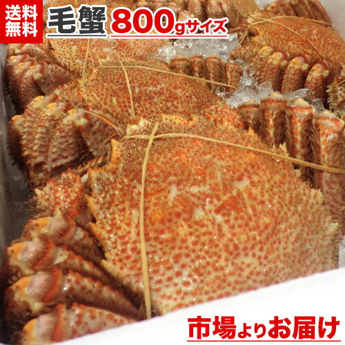【 送料無料 】毛ガニ 800g 前後 × 1尾 | 毛蟹 毛がに 特大 ボイル ぼいる ボイル毛ガニ ベーリング海 蟹 カニ 冷凍 まとめ買い お得 市場 特大毛蟹 特大毛ガニ 特大毛がに お取り寄せ 横綱 横綱毛蟹 ボイル蟹 かにみそ カニみそ カニミソ お中元 中元 贈答