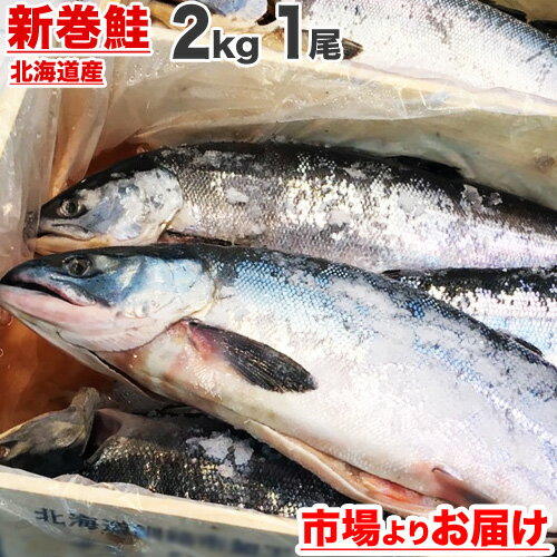 【 年末予約可 】 北海道産 塩漬け 新巻鮭 北海道産 2kg × 1尾 | 2022年 新物 塩鮭 姿 鮭 北海道 一本もの シャケ しゃけ サケ さけ 産地直送 1本 ギフト 国産 内祝い お祝い 贈答品 贈り物 塩引鮭 塩引き鮭 秋ジャケ 贈答可 贈り物 売れ筋 お取り寄せ お祝い品 歳暮 お歳暮