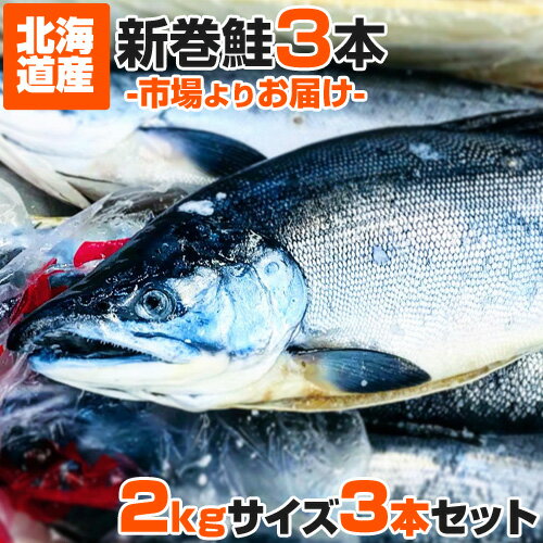 【 送料無料 】 北海道産 塩漬け 新巻鮭 北海道産 2kg × 3尾 | 新物 塩鮭 姿 鮭 北海道 一本もの シャケ しゃけ サケ さけ 産地直送 1本 ギフト 国産 内祝い お祝い 贈答品 贈り物 塩引鮭 塩引き鮭 秋ジャケ 贈答可 贈り物 売れ筋 お取り寄せ お祝い品 グルメ えんぎもの