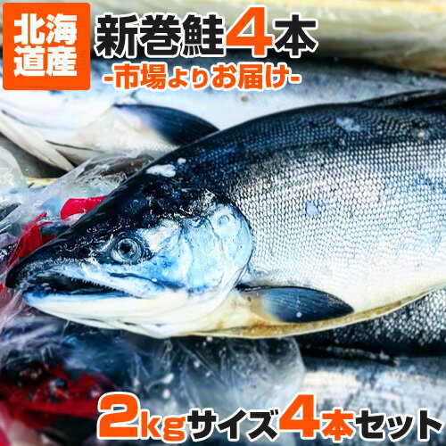 【 北海道産 】塩漬け 新巻鮭 北海道産 2kgサイズ × 4尾セット | 荒巻鮭 塩鮭 姿 鮭 北海道 一本もの シャケ しゃけ サケ さけ 産地直送 ギフト 国産 お祝い 祝賀品 塩引鮭 塩引き鮭 お取り寄せグルメ お取り寄せギフト まとめ買い 詰め合わせ 姿詰め合わせ お歳暮 御歳暮