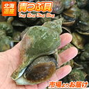 【 送料無料 】 つぶ貝 生冷凍 北海道産 1kg | 青つぶ貝 つぶ ツブ 青つぶ 青ツブ 青ツブ貝 貝 北海道の貝 つぶ醤油煮 貝つぶ 貝ツブ 北海道 北海...