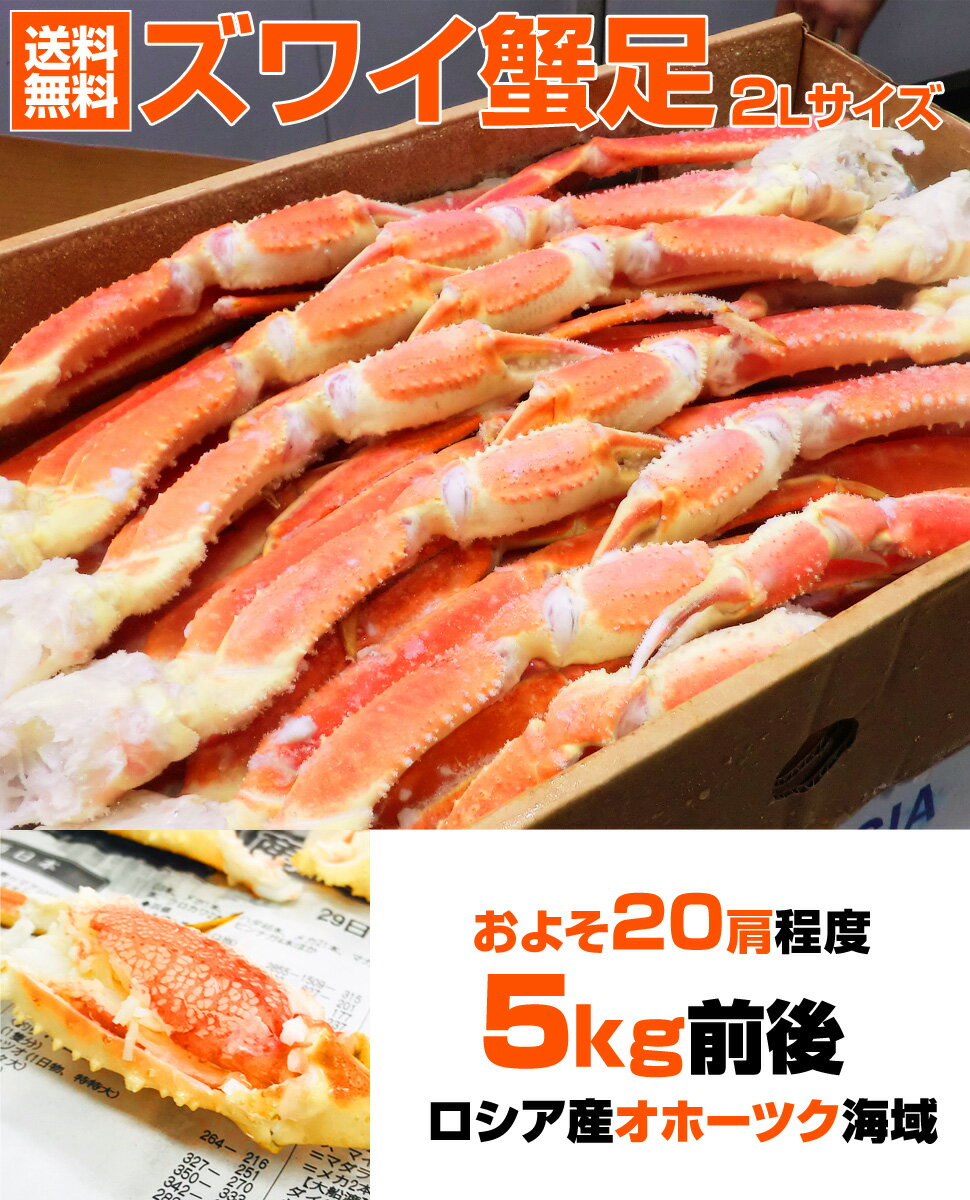 【 送料無料 】ズワイガニ 5kg 4Lサイズ足 | 北海道 ずわい蟹 ズワイ蟹 本ズワイ 本ずわい 本ズワイガニ 本ずわいがに 本ズワイ蟹 ズワイガニ足 ずわいがに足 ズワイ グルメ プレゼント 贈答品 贈答 お祝い お取り寄せ 取り寄せ 水産仕入れ 居酒屋仕入れ