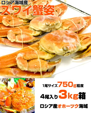 ズワイガニ 姿 3kg箱 4尾入り 【 市場よりお届け 】 750g前後 × 4尾 ずわい蟹 ズワイ蟹 ずわいがに 蟹 カニ ズワイガニ姿 ずわいがに姿 かにみそ かにミソ 贈答品 返礼品 お取り寄せグルメ お取り寄せ 食品 冷凍 ボイル ボイル蟹 酒の友 彼岸 お彼岸 敬老の日 敬老ギフト
