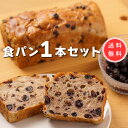 食パン ブルーベリー香るたっぷりレーズン食パン【1.5斤 1本】冷凍発送 高級食パン 生食パン 無添加 レーズンたっぷり 差し入れ送別会 お取り寄せグルメ 退職祝い おしゃれギフト 人気 母の日ギフト