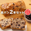 ブルーベリー香るたっぷりレーズン食パン【1.5斤 2本】冷凍