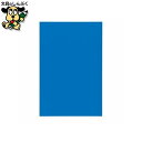 マグネットシートワイドツヤ有 青 B210J-B JTX